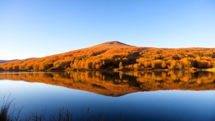 Fototapeta premium A tranquil landscape scene of a calm pond reflecting a hillside covered in vibrant autumn foliage. The trees are predominantly golden-orange and yellow, with some darker green and brown hues. The hi