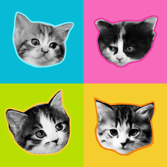 Four sweet kittens halftone collage