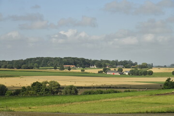 Obraz premium Paysage rural entre champs et bois aux environs de Ghislenghien (Ath) 