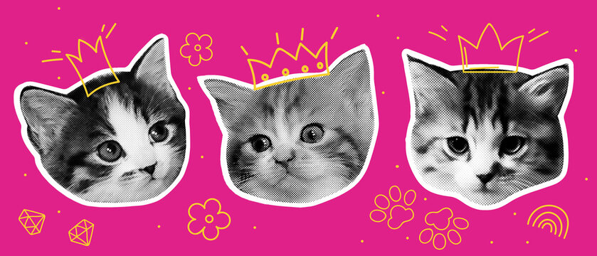 Royal family kittens contemporary collage. Halftone effect pets banner with naive doodle decoration.