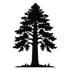 Isolated black silhouette of coniferous sequoia tree against a white backdrop creates an elegant shadow