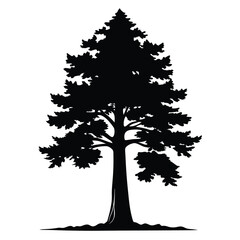 Black silhouette of a tall pine tree stands against a stark white background