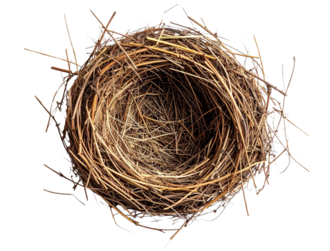 Overhead View of a Natural Bird Nest Made from Twigs