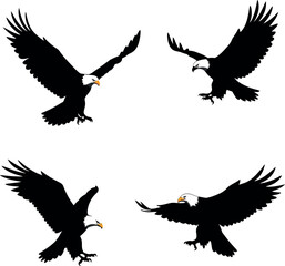 Obraz premium Bald eagle flying silhouette vector set with spread wings in various attack poses 
