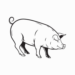 Fototapeta premium yorkshire pig vector art illustration