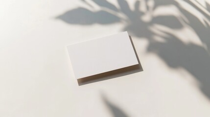 Simple blank card and soft shadows on a light surface during daylight hours