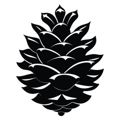 Symmetrical monochrome pinecone radiates stark elegance against the white field