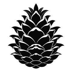 A symmetrical pinecone is shown in this black and white botanical styled image