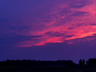 The sky is a beautiful shade of pink and purple. The trees are silhouetted against the sky, creating a serene and peaceful atmosphere. Colors of nature concept.