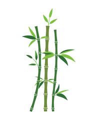 Bamboo vector illustration. bamboo stalks and leaf clusters, flat style bamboo illustration