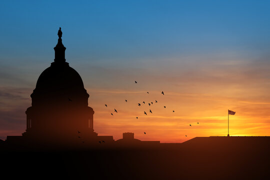 The United States Capitol building silhouette on background of sky at sunset with flying birds in Washington DC, USA. - Powered by Adobe