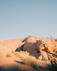 sand dunes in the desert