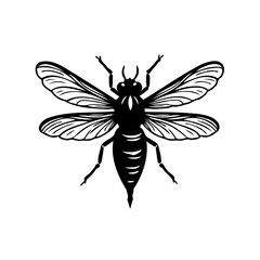 Engraved bee illustration showcasing intricate wing details against white backdrop