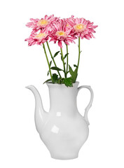 lilac gerbera flowers in a white vase