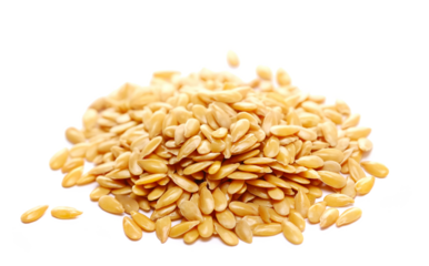 Golden flax seed, linseed isolated on white background, side view