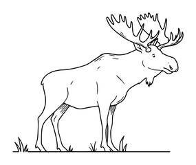 moose with antlers standing vector outline drawing
