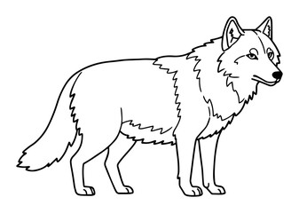 wolf looking alert forest animal vector outline illustration
