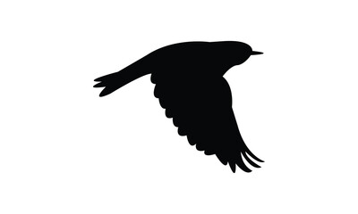 African yellow warbler bird Silhouette Design  And Vector Illustration. 