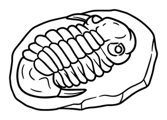 trilobite fossil outline vector illustration – extinct marine arthropod