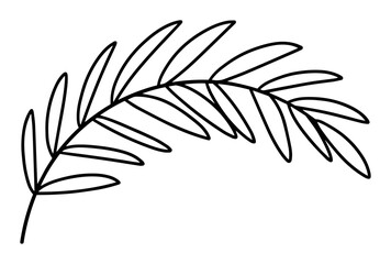 palm leaf outline for easter or nature themes