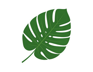 A stylized illustration of a lush, tropical leaf.  Deep green hues create a bold graphic
