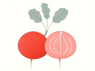 Red Radish Delight: A close-up digital illustration that shows two fresh red radishes, one whole and one sliced in half revealing the crisp interior, are presented against a neutral backdrop.