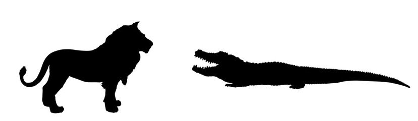 Crocodile attack lion vector silhouette illustration isolated. Survivor watering place battle, powerful reptile vs big cat animal king. Under water predator carnivore lurking prey feline. Wildlife.