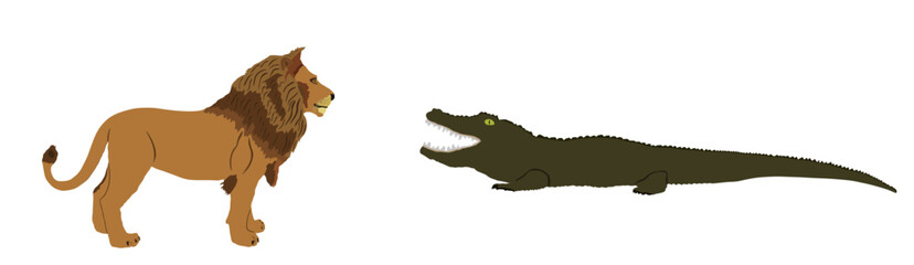 Crocodile attack lion vector illustration isolated. Survivor watering place battle, powerful reptile vs big cat animal king. Under water predator carnivore lurking prey feline. Wildlife Africa safari.