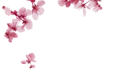 yurdaisy_59491_A_tropical_frame_with_pink_and_white_flowers_on__c6585113-69f5-4c39-8257-6e4180dfd7d4. 