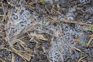 white soapy foam in gray dirty water in a one puddle on the ground in the street