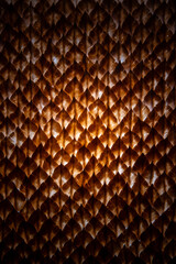 background filled with scales reminiscent of reptile or dragon skin, backlit - handmade