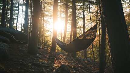 Cozy Hammock Retreat in a Serene Forest with Dappled Sunlight