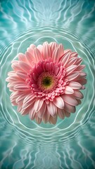Pink Gerbera Daisy Floating on Clear Water with Sunlight Reflections And Copy Space.