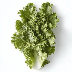 Fresh green lettuce leaves on white. Food photography for recipe books
