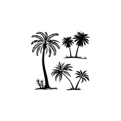 vector illustration of palm trees