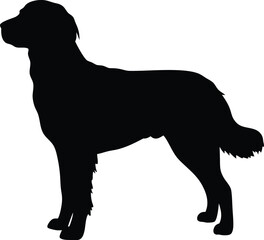 Retriever silhouette, Line art vector illustration of a Golden Retriever with a soft wavy coat and standing happily