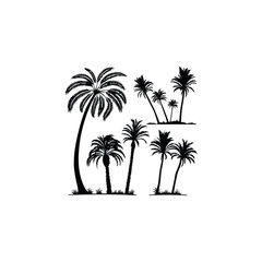 vector illustration of palm trees