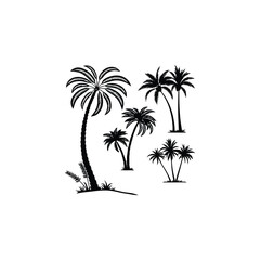 silhouette of palm tree