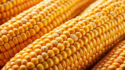 Close-up of Ripe Corn Kernels, Detailed Texture of Golden Corn Grains