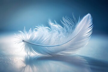 Obraz premium Delicate White Feather on Pure Background: Soft Texture Macro Stock Photo