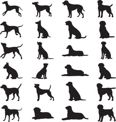 A striking black silhouette of a dog with a long tail sniffing the ground. It captures the simple, 
yet powerful, beauty of canine companionship. 