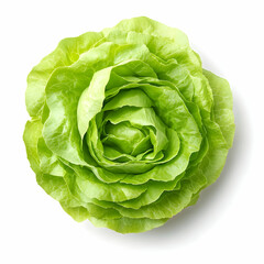 Obraz premium Fresh lettuce head, overhead view, white background, healthy food (2)