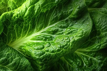 Close-up of fresh green lettuce leaves with water droplets highlighting natural texture and freshness