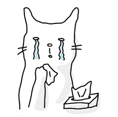 涙を流している猫
