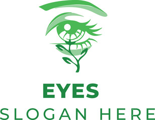 Realistic Human Eye Illustration Framed by Forest Green Wooden Branches on Clean White Background