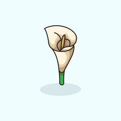 Vector illustration of calla lily flower plant symbolizing purity elegance and beauty Perfect for floral design wedding themes botanical projects and nature