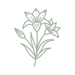Elegant Bush Iris Line Art Illustration