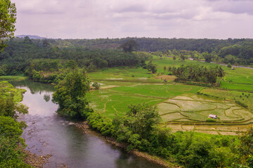 Obraz premium Beautiful morning view indonesia. Panorama Landscape paddy fields with beauty color and sky natural light