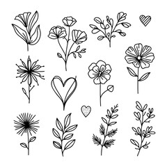 Floral doodles in black ink showcasing various plants and flowers designed in a whimsical style