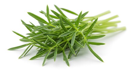 Fototapeta premium Close-up of Fresh Green Sprigs on White Background